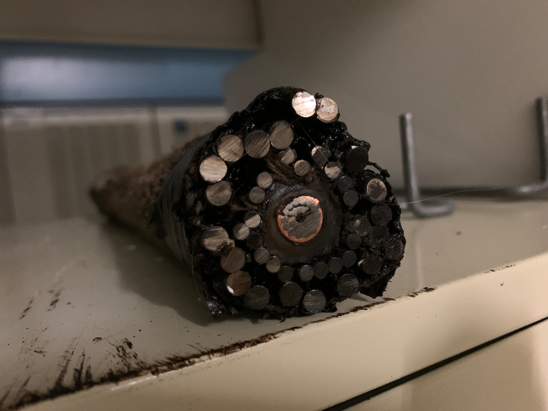 Cross-section of a decommissioned transpacific submarine fiber optic cable showing armor wires and copper power conductor